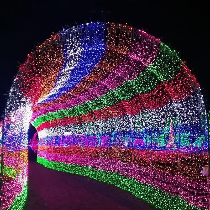 Yizhaomei Outdoor Waterproof LED Starry String Lights