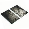 Set of Tempered Glass Kitchen Boards with Lion Pattern 2x30x52 Cm