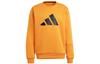 Sweatshirts Men's Orange Crew Neck Moderate Regular H46508