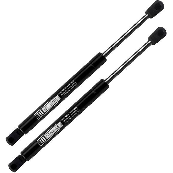 2PCs Rear Trunk Lift Supports Compatible With 2008-2016 Dodge Challenger Trunk Gas Charged Struts Shocks Dampers With Spoiler 04589645AA, 6657