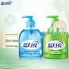 Blue Moon Aloe & Wild Chrysanthemum Hand Soap 4-Pack
