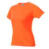 Starworld Womens/Ladies Sports T-Shirt