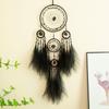 Handcrafts Dreamcatchers with Pampas Grass and Crystal Stone for Home Wall Hanging Decoration and Peaceful Ambiances
