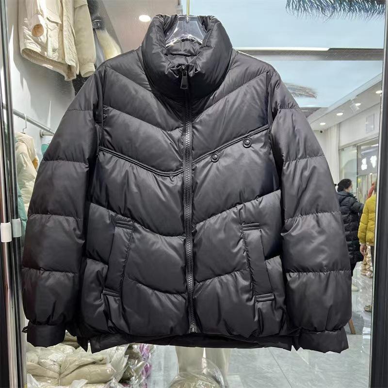 Two-button long-sleeved new simple and versatile fashion outer wear white duck down stand-up collar down jacket women's short coat