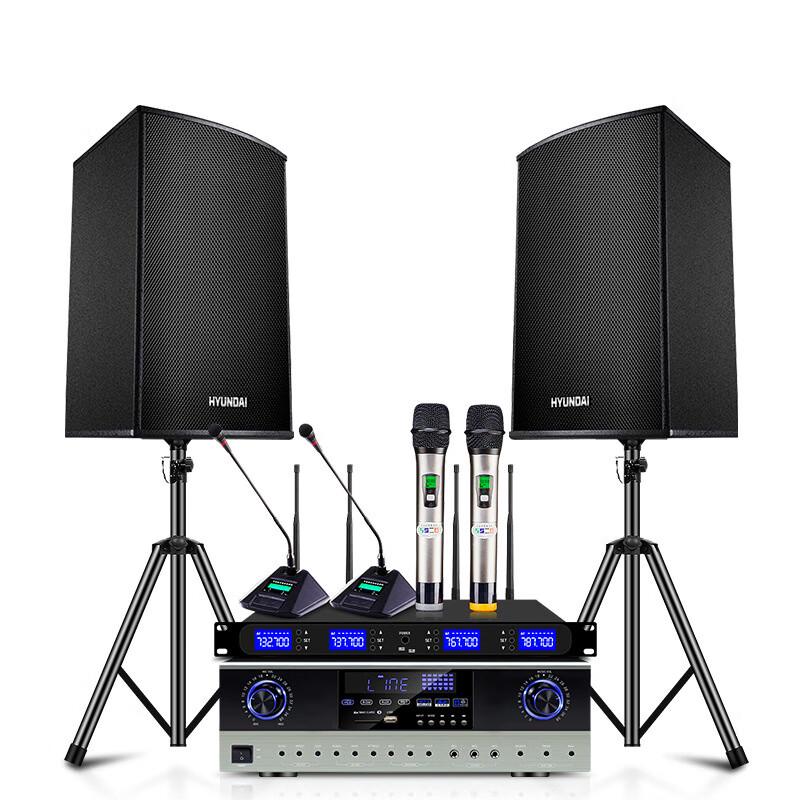Laicai Professional Audio System with 10-inch Speakers & Microphone