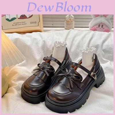 Mary Jane Shoes For Women With Platform Thick Heel Fall Casual Footwear