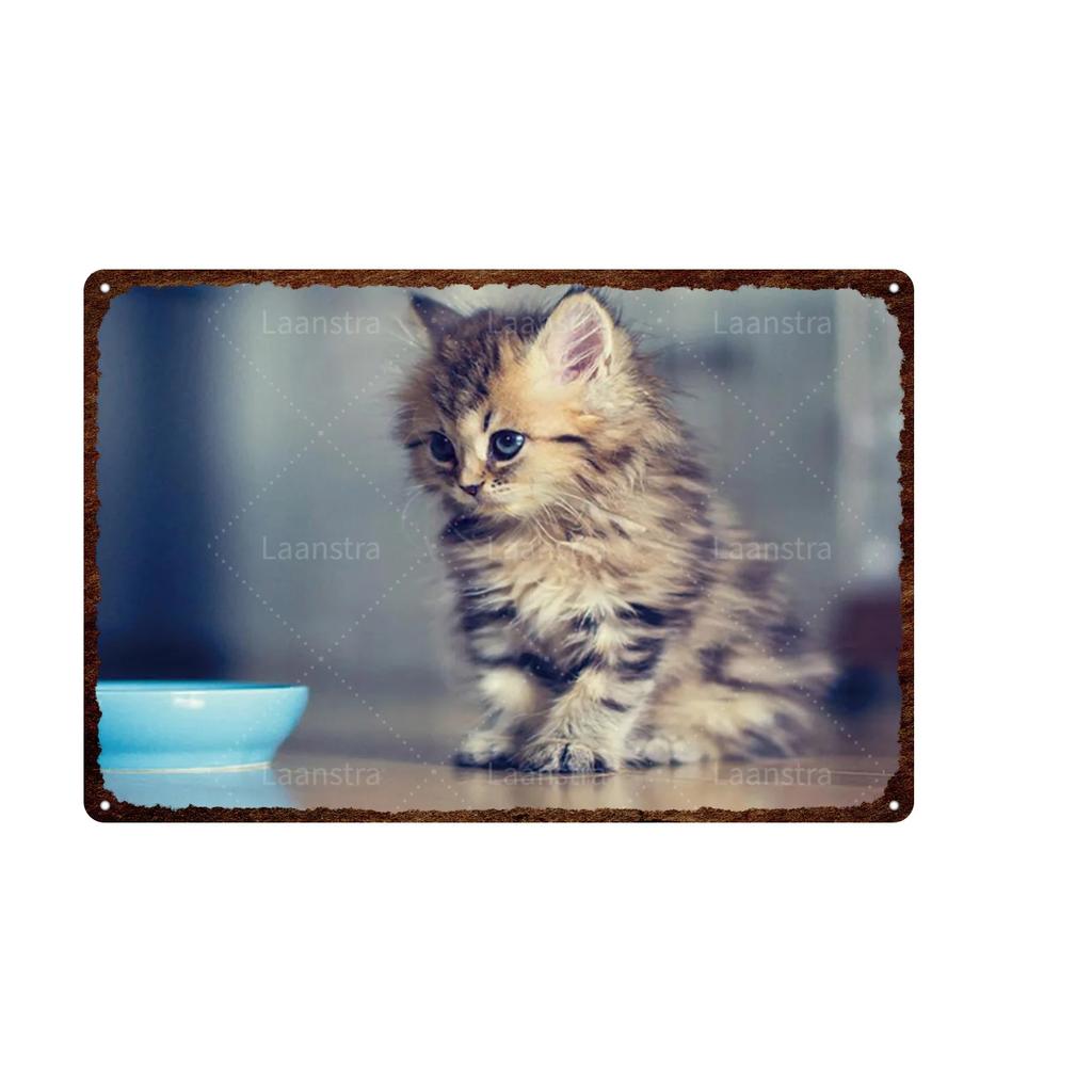 Retro Iron Painting Metal Plaque Attention Animals Dog and Cat Wall Decor Art Poster Tin Signs Bar Home Decoration Painting