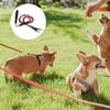 Double Bungee Dog Leash 360-degree Swivel Tangle-Free Dual Dog Leash Shock Absorbing