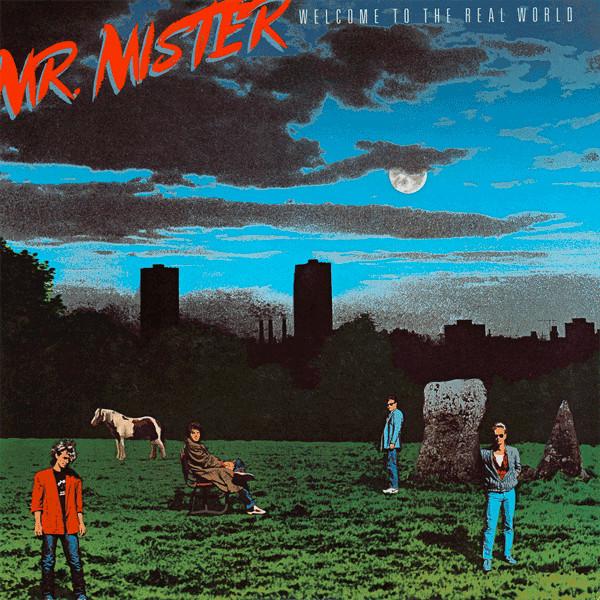 

LP Record MR. MISTER Welcome To The Real World AFL17180 RCA Victor 1985 Canada Rock Used