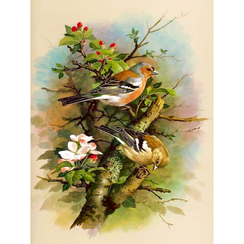 

GATYZTORY Frame Birds DIY Painting By Numbers Home Decor Wall Painting Coloring Paint On Canvas Unique Gift For Wall Art Picture 20x30cm No Frame