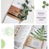 Accessories Leaf specimen Dried Pressed Leaves dried flowers resin accessory Artificial Decorations