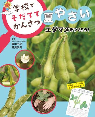 Lasst uns Edamame anbauen! (Sommergemüse in der Schule anbauen und beobachten)