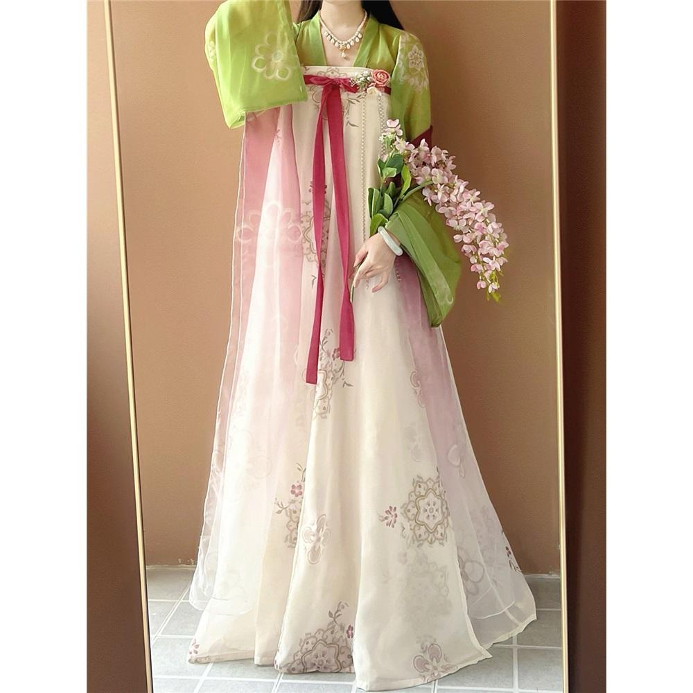 Chinese Tang Dynasty Style Hanfu, One-piece Skirt, Daily Suit For Women