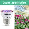 LED Grow Light Bulb E27 220V Full Spectrum 200/300LED Plant Lamp for Indoor Garden Seedling Greenhouse Hydroponics Grow Tent