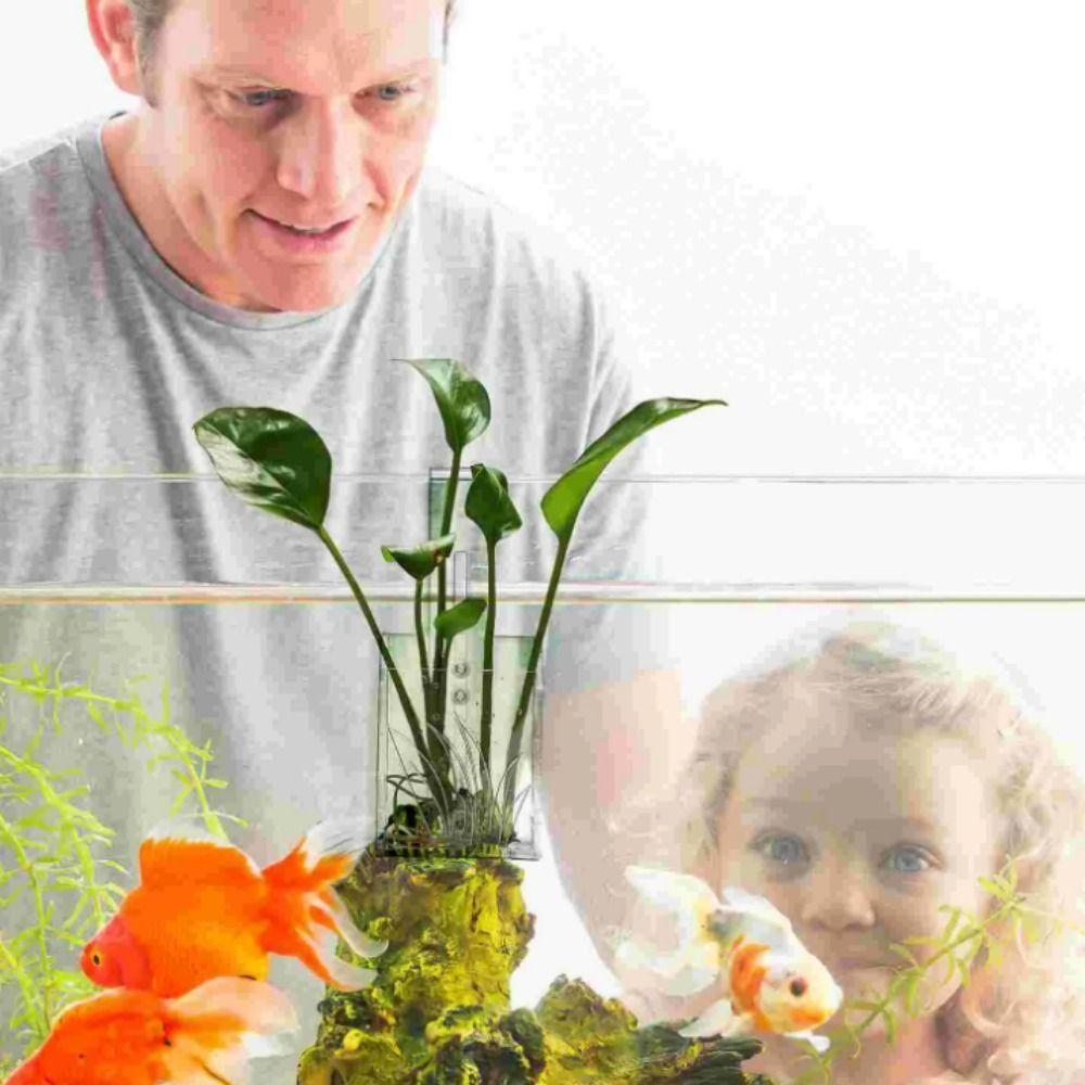 Wall Hanging Aquatic Planter Holder Transparent Fish Tank Planting Cup Aquascape