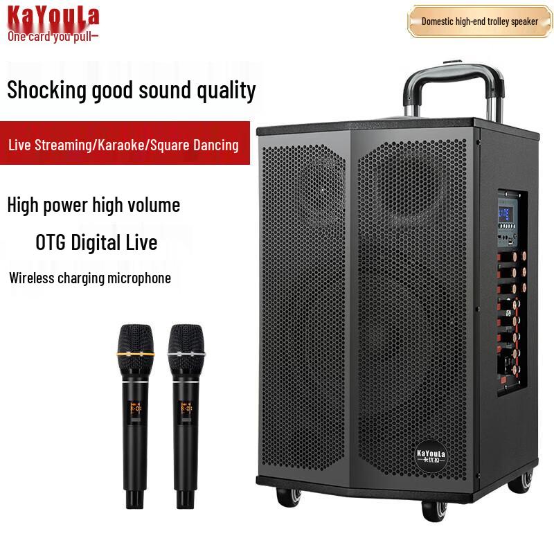 

KaYouLa LG-800 Portable Bluetooth Trolley Speaker