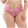 Women Pantie Sexy Lace Elastic Lingerie Knickers Underpants Underwear L-4XL