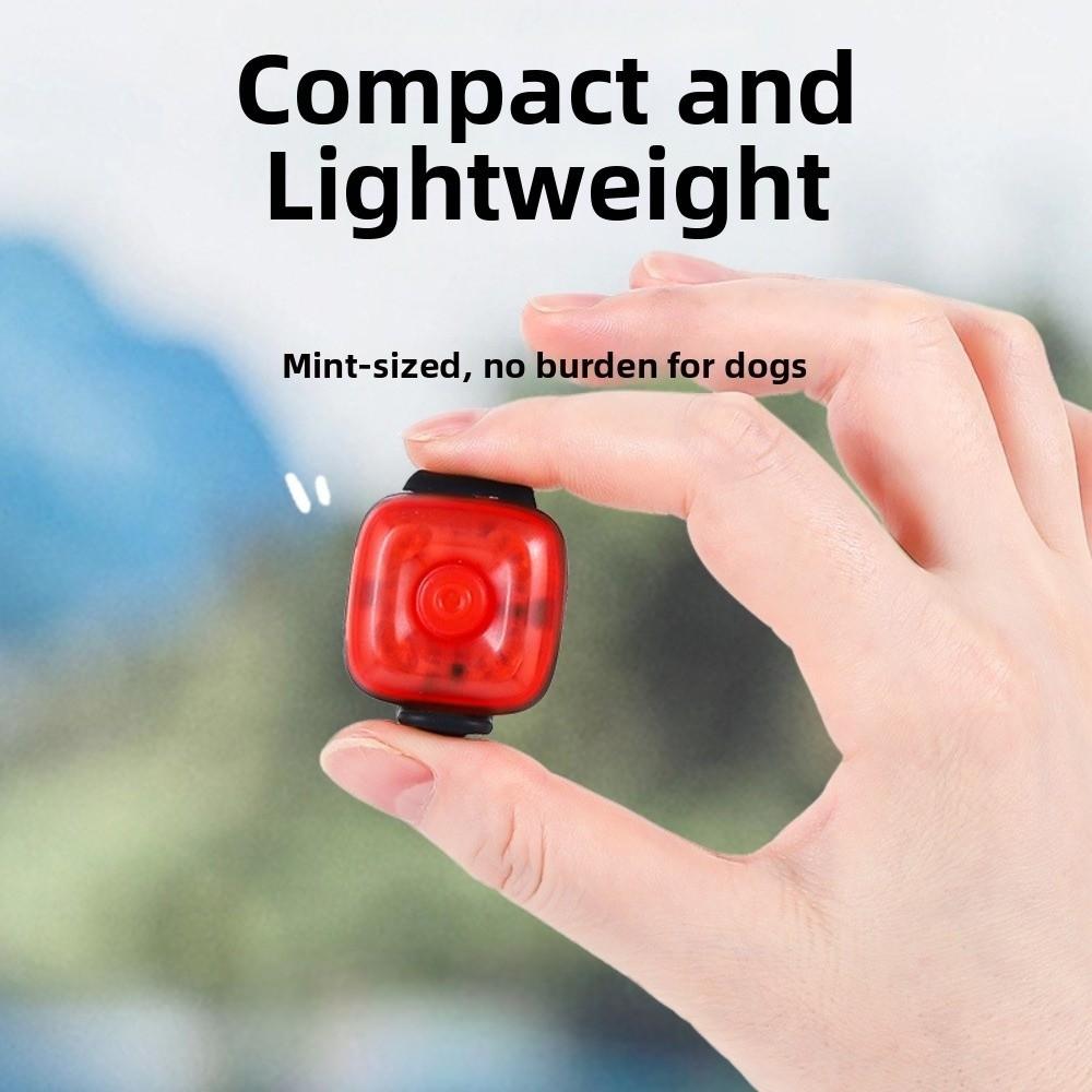 New USB Rechargeable Pet Luminous Pendant 3 Modes Flashlight LED Pet Collar Pet Safety LED Dog Light-up Pendant Dog Walking