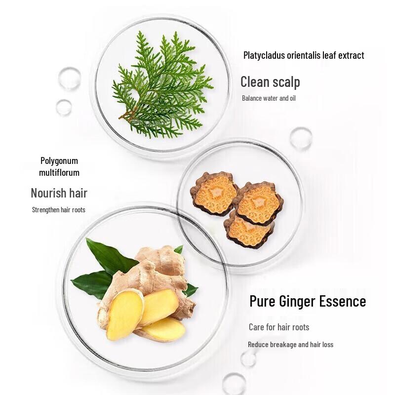 Zhuolanya Anti-Hair Loss Hair Growth Shampoo