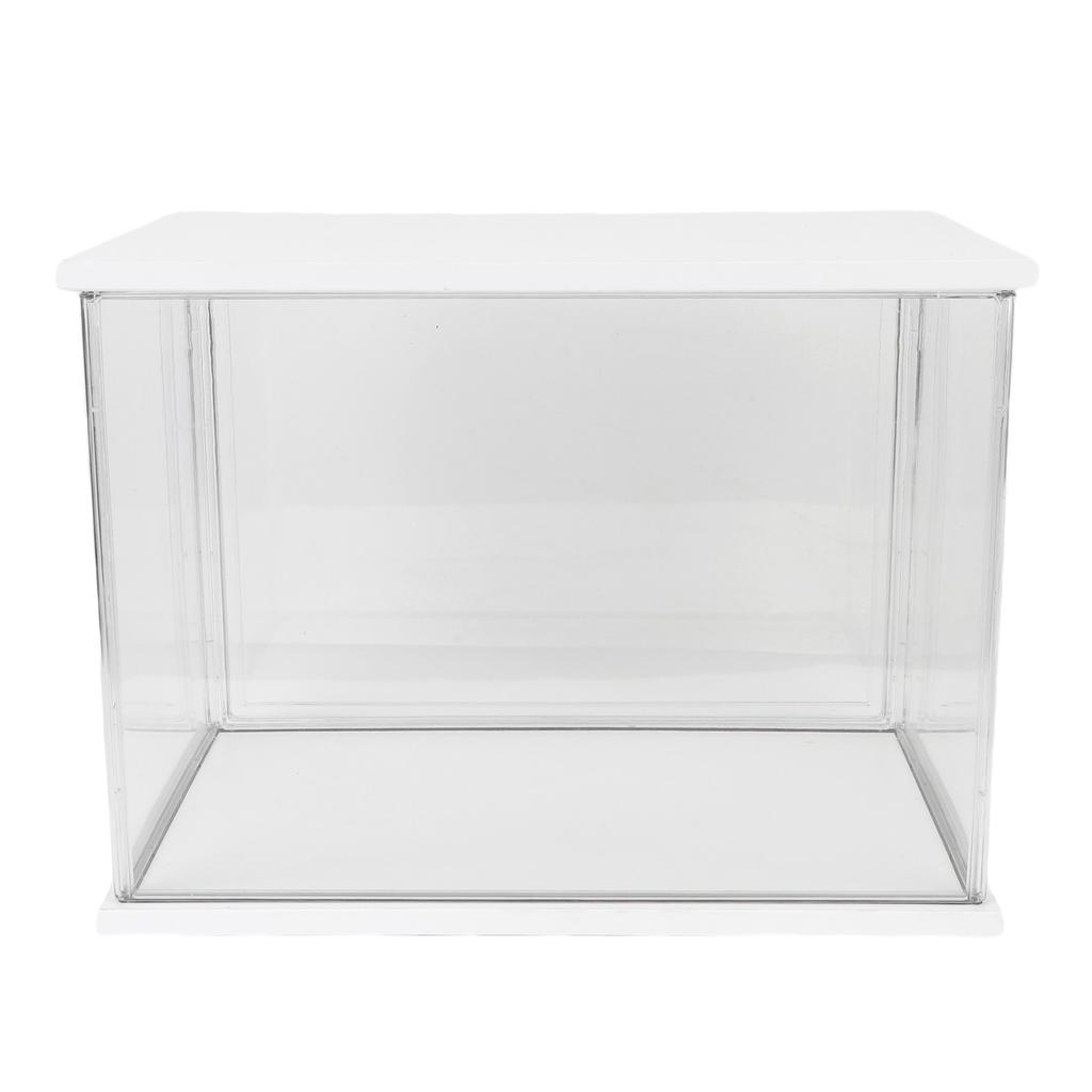 Clear   Display Case Plastic Display Box for Collectibles Doll Home Storage Organizing Toys Wood Base 14.3x8.7 .7in