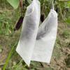 100Pcs Anti-bird Nursery Bags Breathable Insect Barrier Pouch  Garden Greenhouse