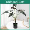 Odora Plantă Frunză Alocasia Recipient Handcrafted Decor Plastic Realist