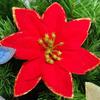 10/50pcs Artificial Christmas Flowers Multicolor Red Glittering Fake Flower for Xmas Tree Ornaments New Year Party Home Decors