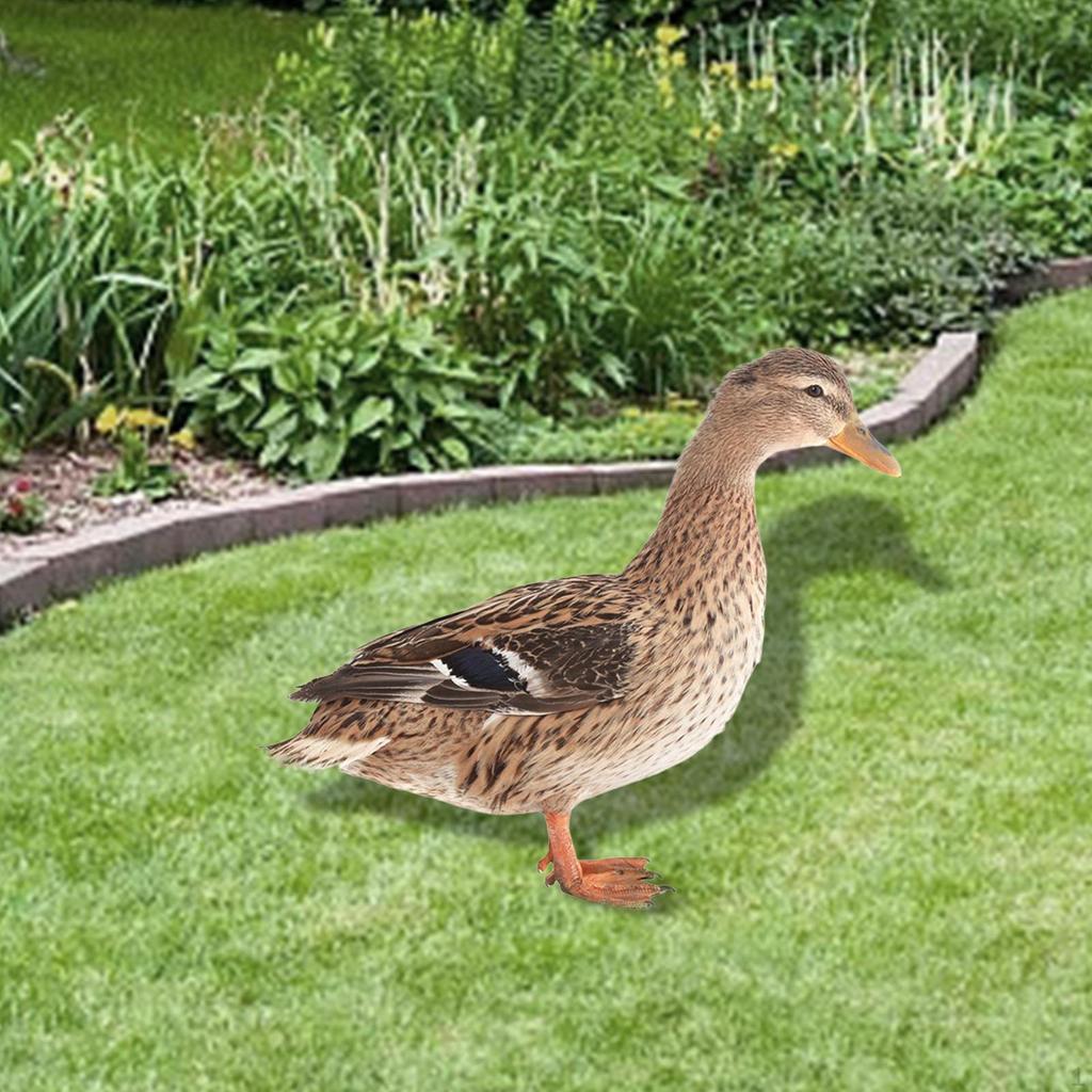 The Enchanted Garden Statua Di Gnoo Ranger Per Esterni, Statuetta In - Foto 11