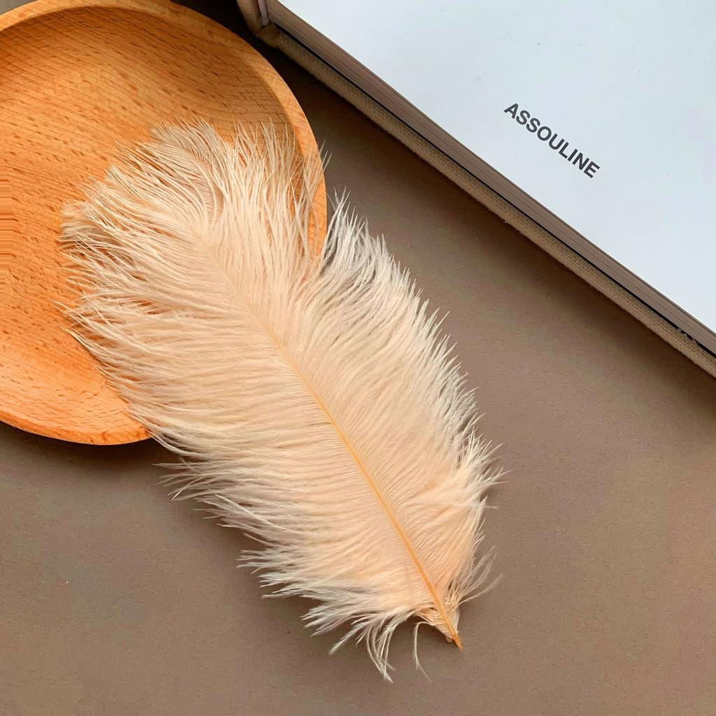 Color ostrich hair 15-20CM ostrich feather Internet celebrity photo background wall feather cake flower arrangement DIY decoration