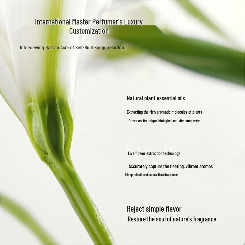 Bloom & Blossom Fragrance Hand Cream