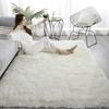 Yousheng Fluffy Floor Mat Plush Area Rug with Non-slip Backing Shaggy Fuzzy Bedroom Carpet Bedside Rug for Nursery Playroom Living Room Dorm