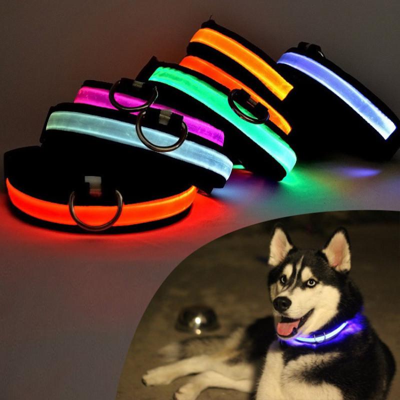 Adjustable Size Usb Rechargeable Led Pet Collar For Cats And Dogs Nylon Material
