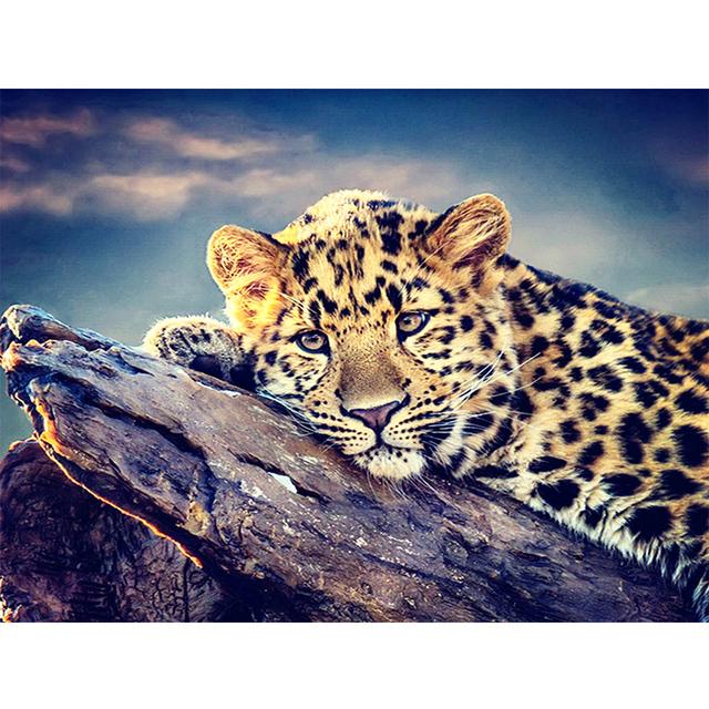 5D DIY Diamantmaleri Leopard Rhinestone Kunstbilde Full Rund Diamantbroderi Dyrebilde Mosaikkdekorasjonssett