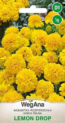 Tagetes Rozpierzchła Yellow Low Lemon Drop 1g Marigold Seeds -