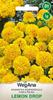 Tagetes Rozpierzchła Yellow Low Lemon Drop 1g Marigold Seeds -