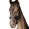 Hy ProPresicce Leather Horse Headcollar