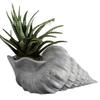 New Creative Resin Statue Conch Flower Pot Plant Planting Container Decoration Home Outdoor Garden Decoration