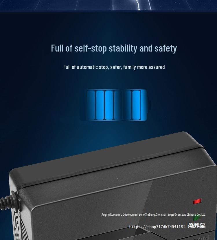 Compatible Charger for Yadea Electric Vehicle Batteries: 48V12AH, 60V20AH, 72V Models