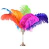 10Pcs Colored Ostrich Feathers for Crafts Needlework Accessories Large Hats Carnival Centerpiece for Table Decoration Feather