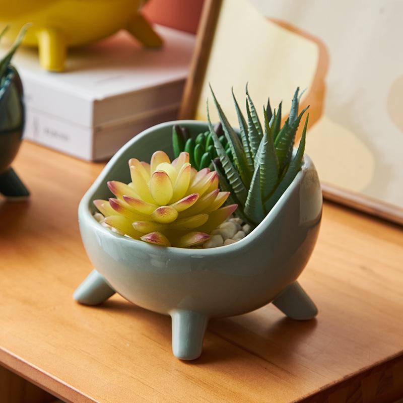 Nordic Ceramic Flower Pot: Succulent & Cactus Desktop Bonsai Ornament