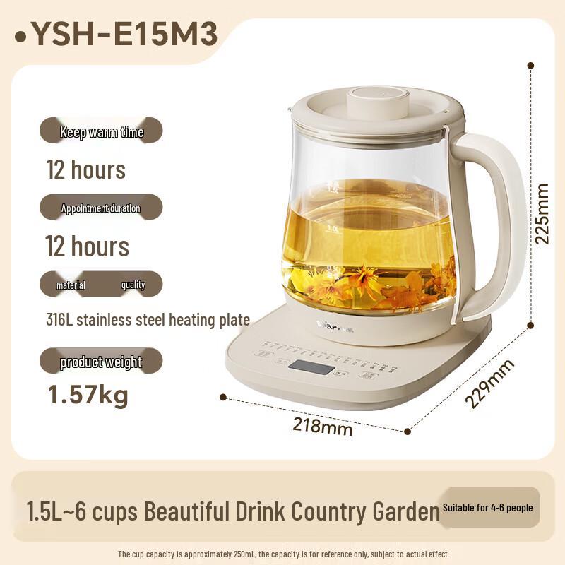 Bear Multi-function Electric Wellness Kettle CN plug (adapter included)