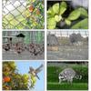 15m x 15m Bird Protection Net with 5x5cm Mesh Size for Garden Plant Pond and Outdoor Applications