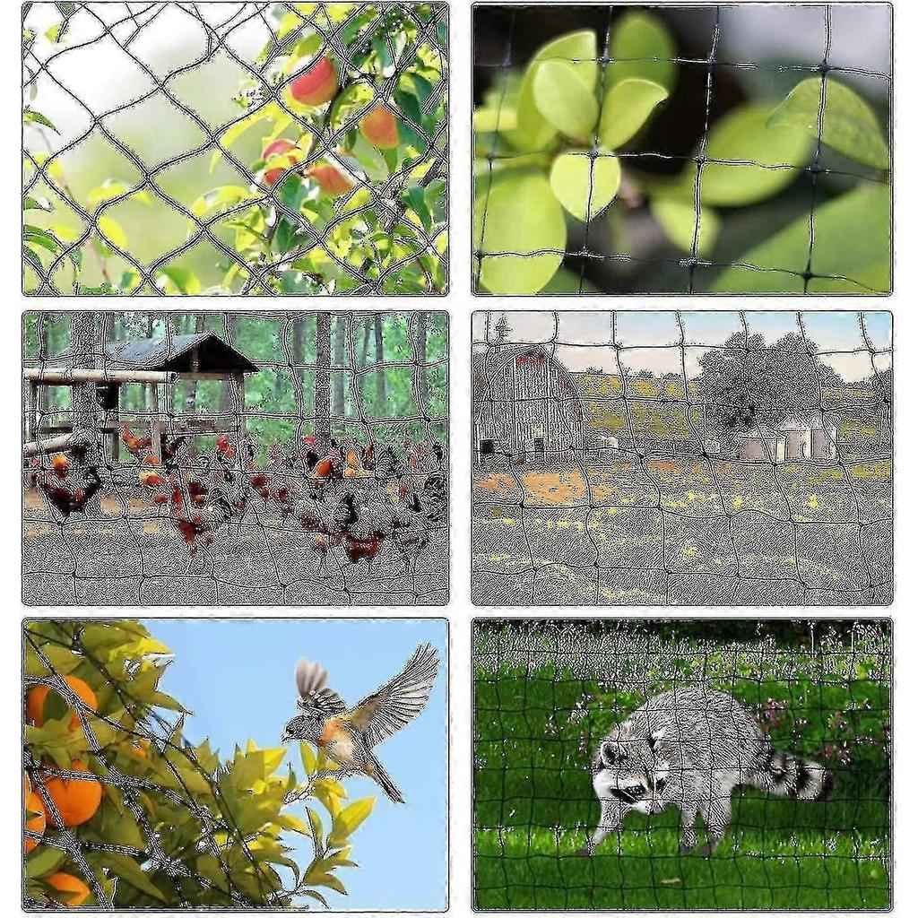 15m x 15m Bird Protection Net with 5x5cm Mesh Size for Garden Plant Pond and Outdoor Applications