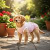Adjustable Dog Sterilization Suit Sleeveless Dog Sanitary Pants Pet Physiological Pants  Daily Wear