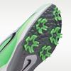 Men's Sneakers Nike PEGASUS 1 Waterproof Low-top Golf Shoes Unisex Light Gray