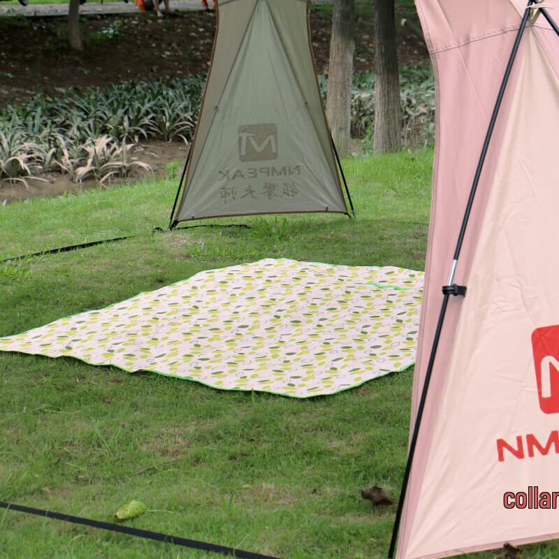 DASPAN Outdoor Waterproof Picnic Mat