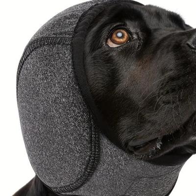 Roupa e sapatos – Chapéus para cães