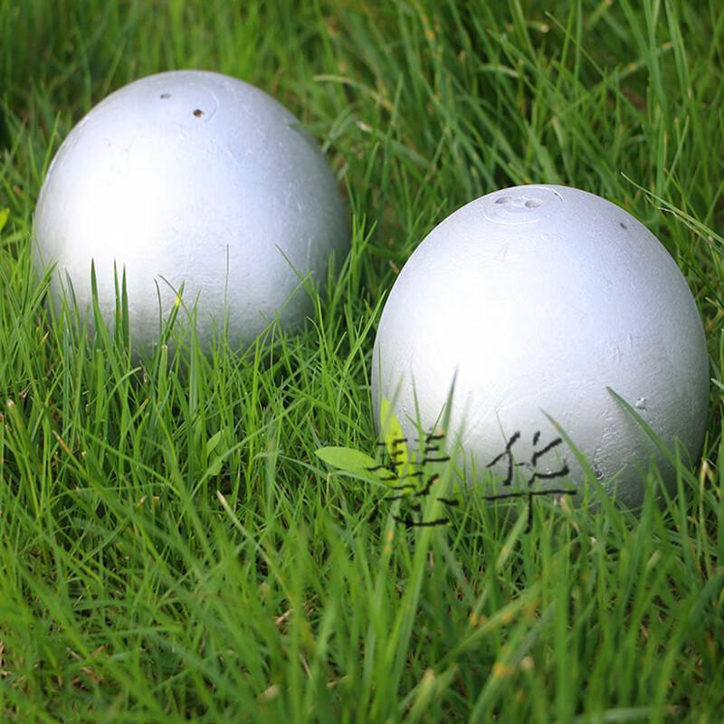 WEZHO Competition Solid Shot Put