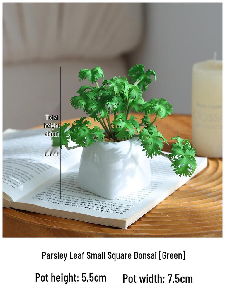 Miniature Succulent Bonsai Desk Ornament: Green Plant Props for Home or Office Decor
