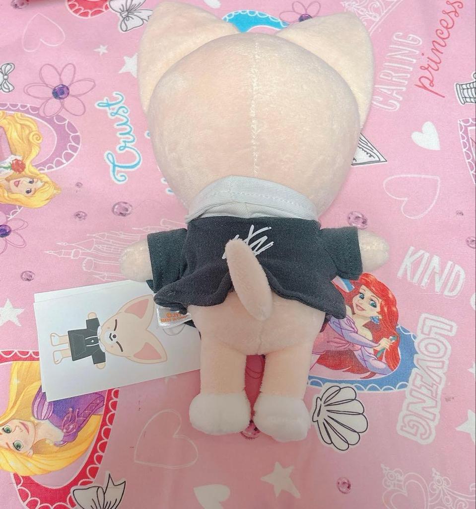 [USED] Stray Kids Ien Plush Toy